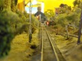DSCF0019
