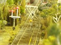 DSCF0022