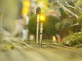 DSCF0026